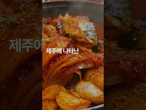 현지인만 아는 제주 11년 맛집? 속초+제주 섞은 물회 육수 미쳤다! #제주맛집 #청호정 #제주물회 #갈치조림 #전복뚝배기 #고등어조림 #현지인맛집 #제주도여행 #제주시맛집 #가파도막걸리 #제주해산물 #물회맛집