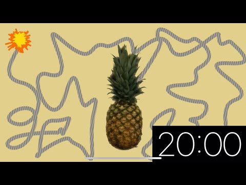 20 Minute Timer Pineapple Explosion
