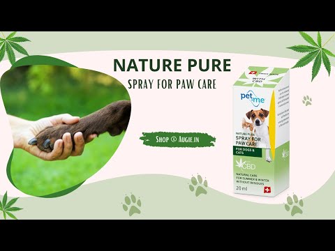 Paw Spray | Paw Spray For Dogs And Cats |  Anti-bacterial Paw Spray For Dogs And Cats | Augie Pets