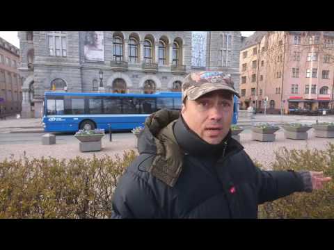 Suomi-Maidan päivä 90 - Lokit piinaavat Marsoa