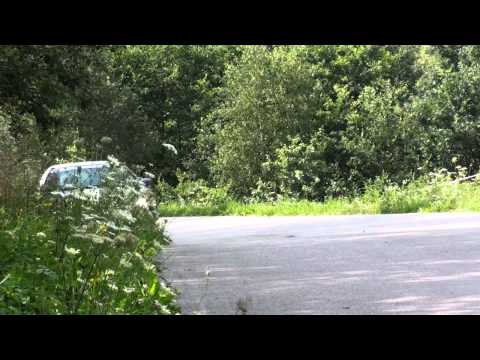 Hubert PALIDER / Mateusz FORTUNA - Honda Civic - 20 Rajd Rzeszowski 2011