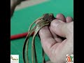 Trenzado Con Cuero Pulsera De Ocho Tientos Shorts