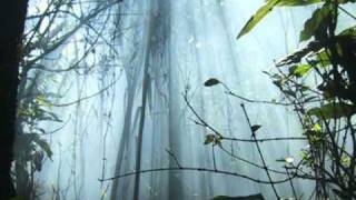 Bruce Becvar - New Frontiers