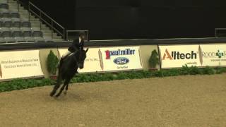 83 Brittni Raflowitz, Maclay Finals Final Work Off
