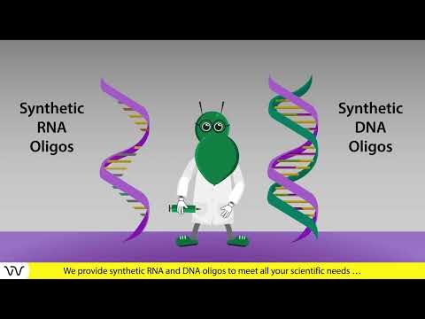 Video: Custom oligonucleotide synthesis | 30 years of experience | Dharmacon™ reagents