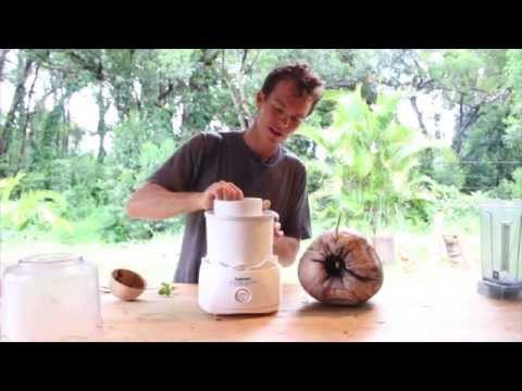 download lagu mp3 mp4 Coconut Ice Cream Near Me, download lagu Coconut Ice Cream Near Me gratis, unduh video klip Coconut Ice Cream Near Me