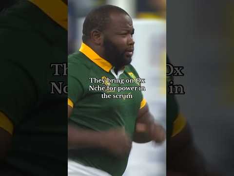 “Salads 🥗 don’t win scrums” #shorts #rugby #springboks