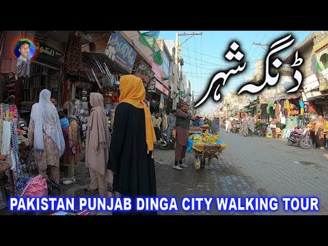PAKISTAN PUNJAB DINGA CITY WALKING TOUR / naqvi village life