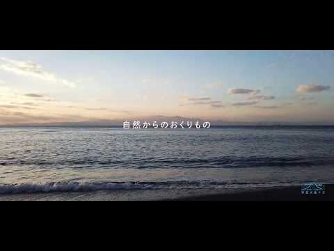 サンセットパームラインの夕陽（Nature Gravure）