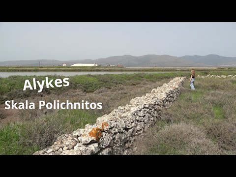 "Alykes - Skala Polichnitos" by Polichnitos junior high school | Κυριακή Στέργου