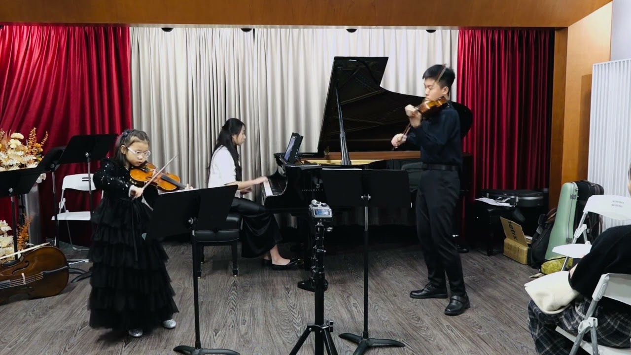 J.S. Bach - Concerto for two violins in D minor BWV 1043, 1st Movement