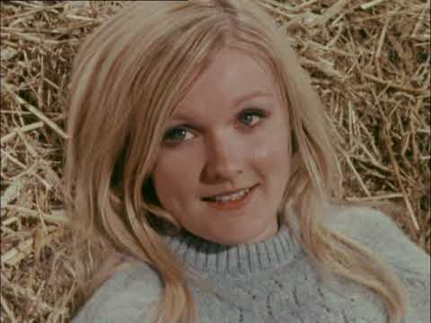 Die Follyfoot Farm Staffel 02-21 (Der Preis)