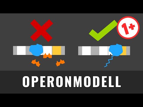 Operon Modell | Genregulation durch Substratinduktion und Endproduktrepression einfach erklärt