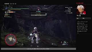 [モンハンワールド]たまにはのんびり実況[アイスボーン]