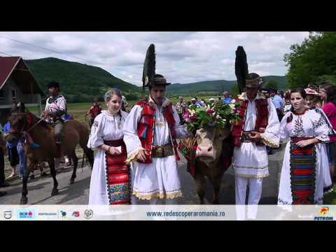 Împănatul boului la Căianu Mic - Bistrita Nasaud (exclusiv piticu.ro)