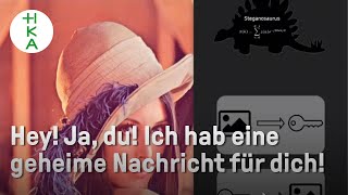 Wie kann man verschlüsselte Nachrichten im Bild verstecken? | Projektarbeit Info