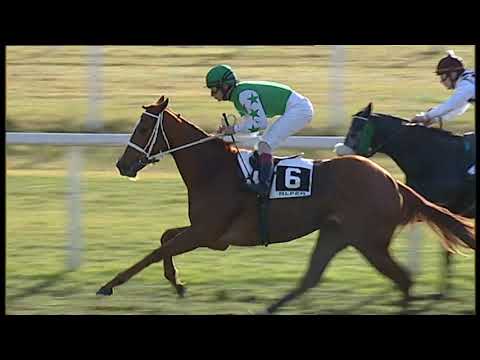 2020-01-30 Corsa 2 Metri 2000 Premio Cavalieri di Santo Stefano