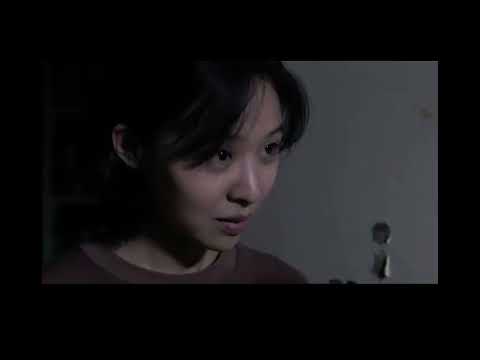 비디오 6