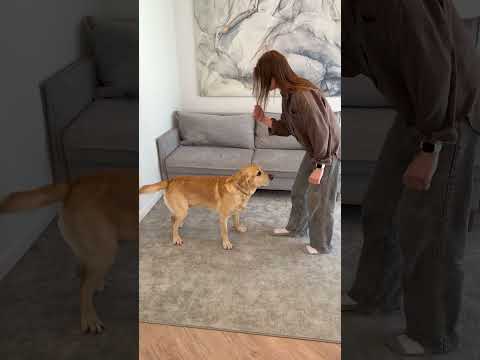 Он же успел?🤔