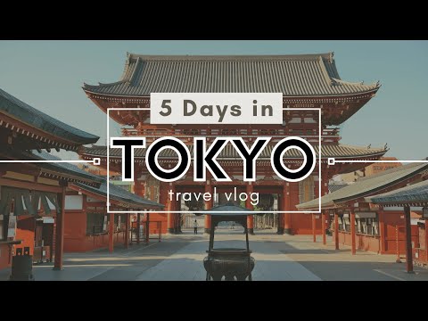 How to Spend 5 Days in Tokyo – The Ultimate City Adventure 🇯🇵 #tokyo #japan #tokyo2025 #travel #vibe