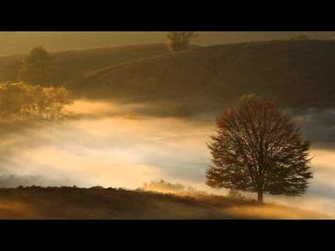 Fabio XB & Wach versus Roman Sokolovsky - Eternal