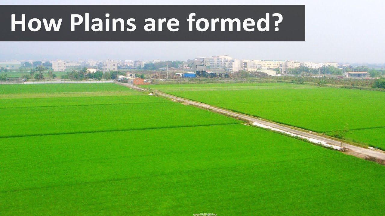 Why are the northern plains one of the most fertile plains in the world?
