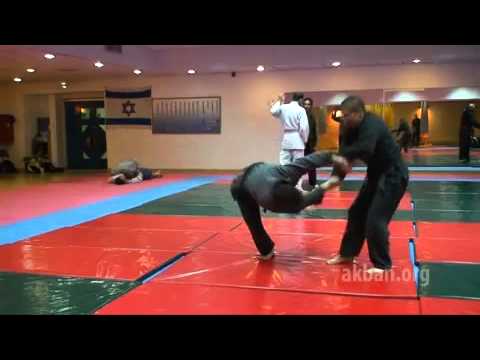 Teiken no kata   1st level Gyokko ryu for Akban wiki