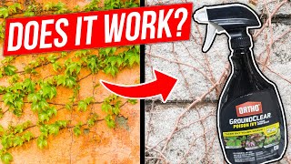 How to Kill Poison Ivy, Poison Oak, and Other Tough Vines