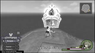 Kingdom Hearts II FM: How To Level Up Master Form Quickly