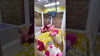 Download lagu How to get a big claw machine? #clawdoctor #clawdoll #clawmachine mp3