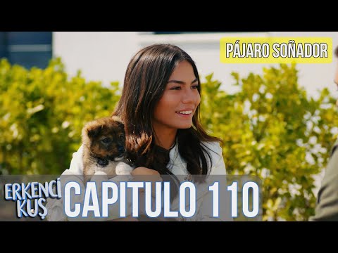 Pájaro soñador - Capitulo 110 (Audio Español) | Erkenci Kuş