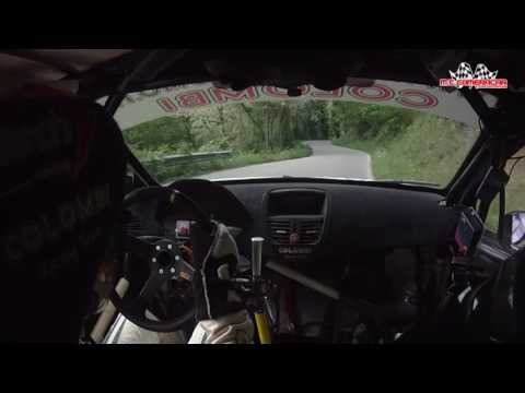 Rally della Valdinievole 2016  Tognozzi - Pinelli  Peugeot 207 Super 2000  3° ASSOLUTI