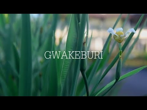 GWAKEBURI_Anox A.J_(Official Video) 2018