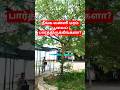 Vanni Tree Flower Shorts Tamil Sami Tree Flowers