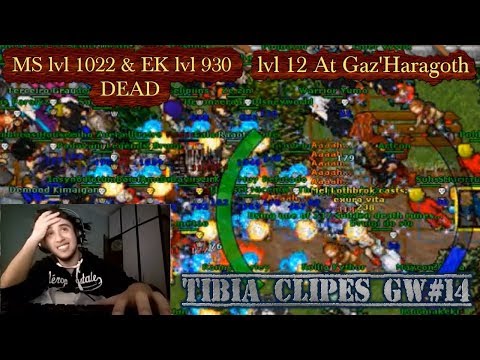 MS LVL 1020 DEAD, BLACK SKULL DEAD, EK LVL 930 DEAD, LVL 12 IN GAZ'HARAGOTH - Tibia Clipes GW#14
