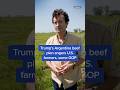Trump S Argentina Beef Plan Angers U S Farmers Some GOP