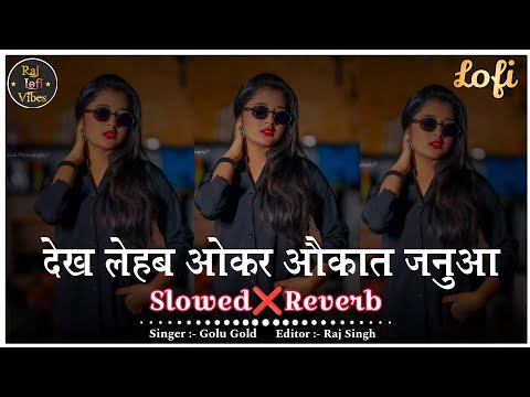Dekh Lehab Okar Aukat Janua Lofi Song | Slowed+Reverb | Golu Gold | Mahaul Badle Da Lofi Song