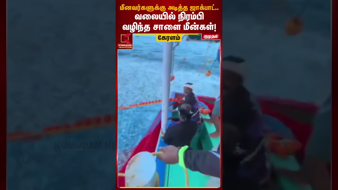 மீனவர்களுக்கு அடித்த ஜாக்பாட்.. வலையில் நிரம்பி வழிந்த சாளை மீன்கள்! | Kerala Fishing | Kumudam News