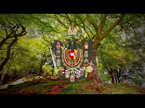 National Anthem of Austro-Hungary "Österreichische Kaiserhymne" (Czech Version)