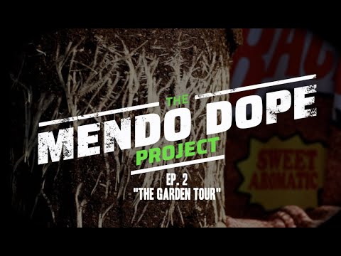 THE "MENDO DOPE" PROJECT - EP 2 (THE GARDEN TOUR)