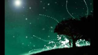 Higher than the stars-The Pains Of Being Pure At Heart (Saint Ettiene Visits-Lord-Spank Remix)