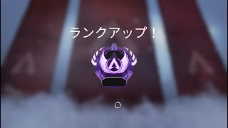 【APEX】taiman配信