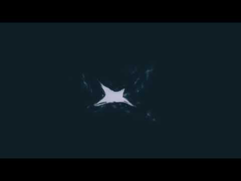 video frame placeholder