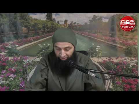 Izlazak na glasanje i parlament - dr. Zijad Ljakić