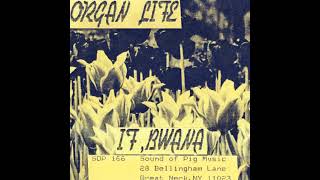 If, Bwana – Organ Life (1988)
