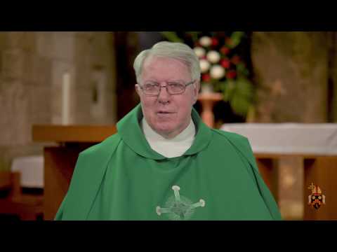 Fifteenth Sunday of Ordinary Time - Two-Minute Homily: Fr John Chalmers