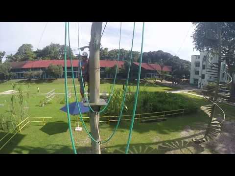 GP027601 High Elements