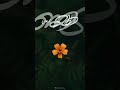 Etho Sayahna ️ 10 30 Am Local Call Shorts Youtubeshorts Whatsappstatus Lyricsstatus