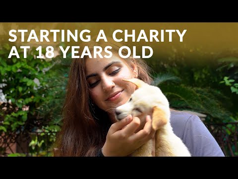 Running an International Dog Shelter to Rescue Stray Dogs