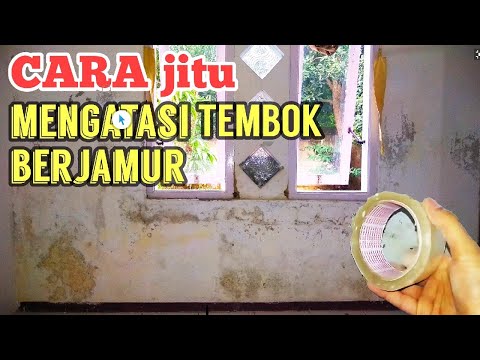 download lagu mp3 mp4 Tips Rumah Lembab, download lagu Tips Rumah Lembab gratis, unduh video klip Tips Rumah Lembab